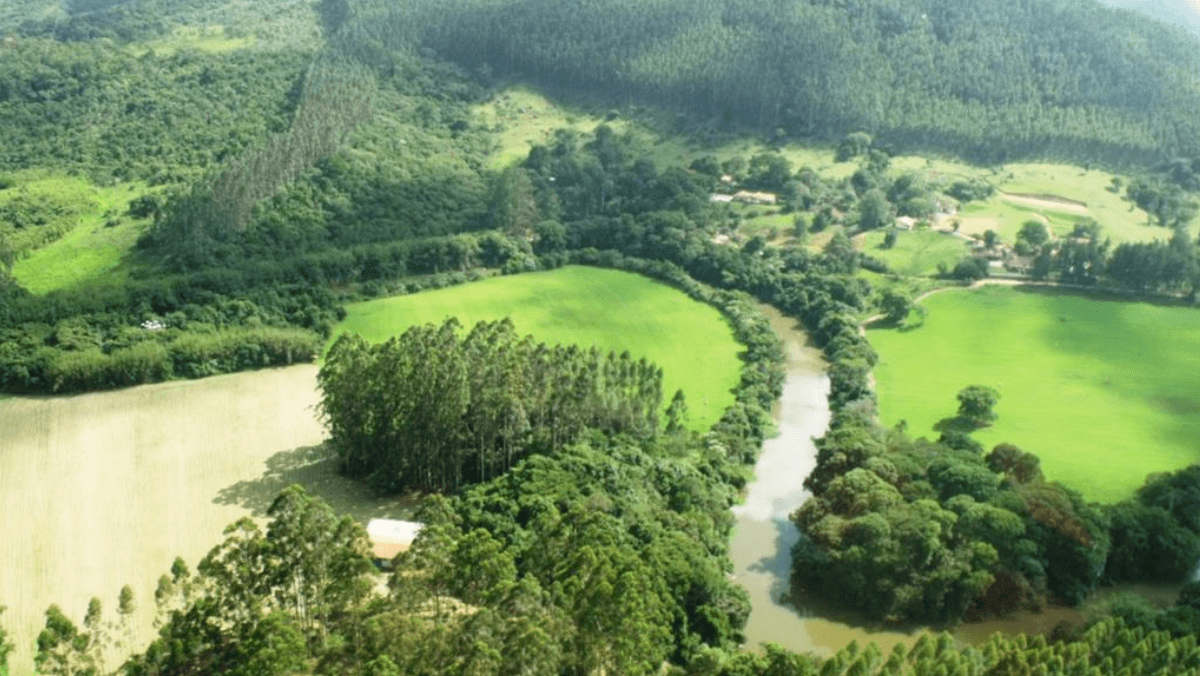 Como Avaliar um Imóvel em Área de Preservação Ambiental (APA)?