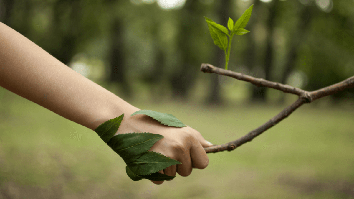 Como um Laudo Ambiental Pode Transformar o Valor do Seu Imóvel