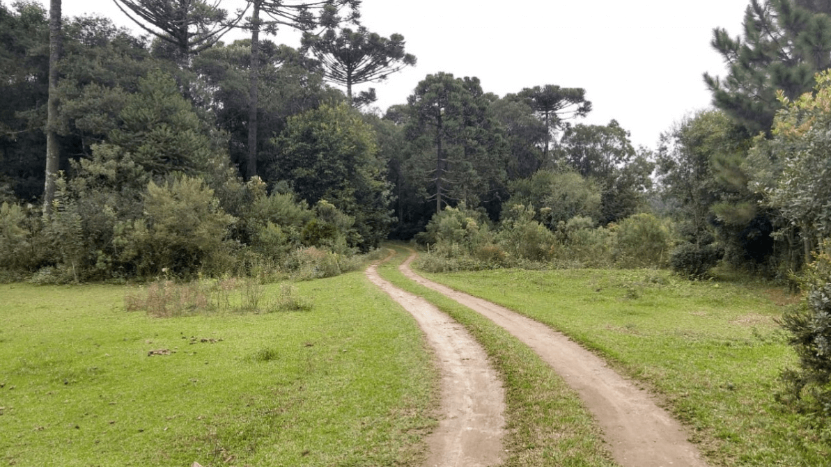 Como Avaliar Terrenos em Rio Negro: Métodos e Particularidades