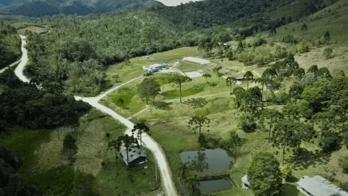 Avaliação de Propriedades Rurais em Rio Branco do Sul