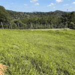 Como Avaliar Terrenos em Pinhais: Métodos e Cuidados