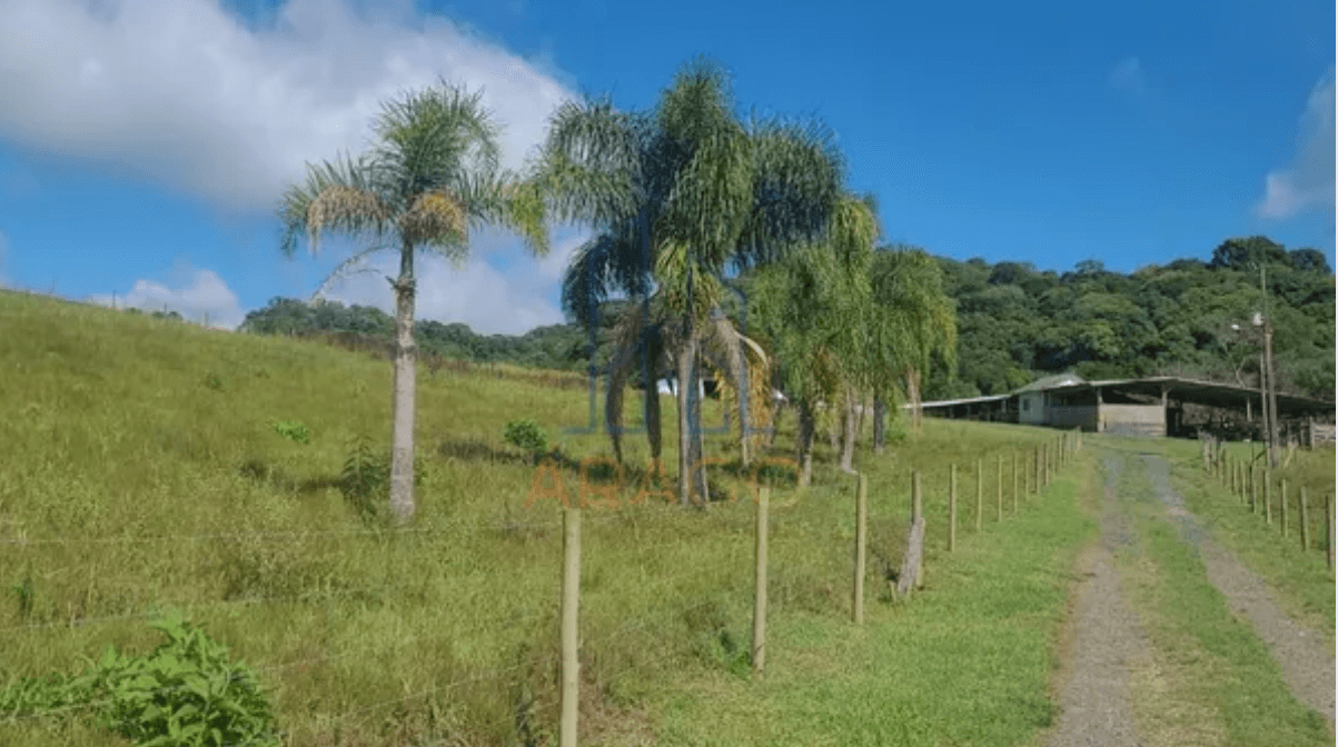 Avaliação de Imóveis Rurais em Piên: Como Funciona?