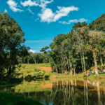 Avaliação de Imóveis em Mandirituba: Guia Completo para Proprietários