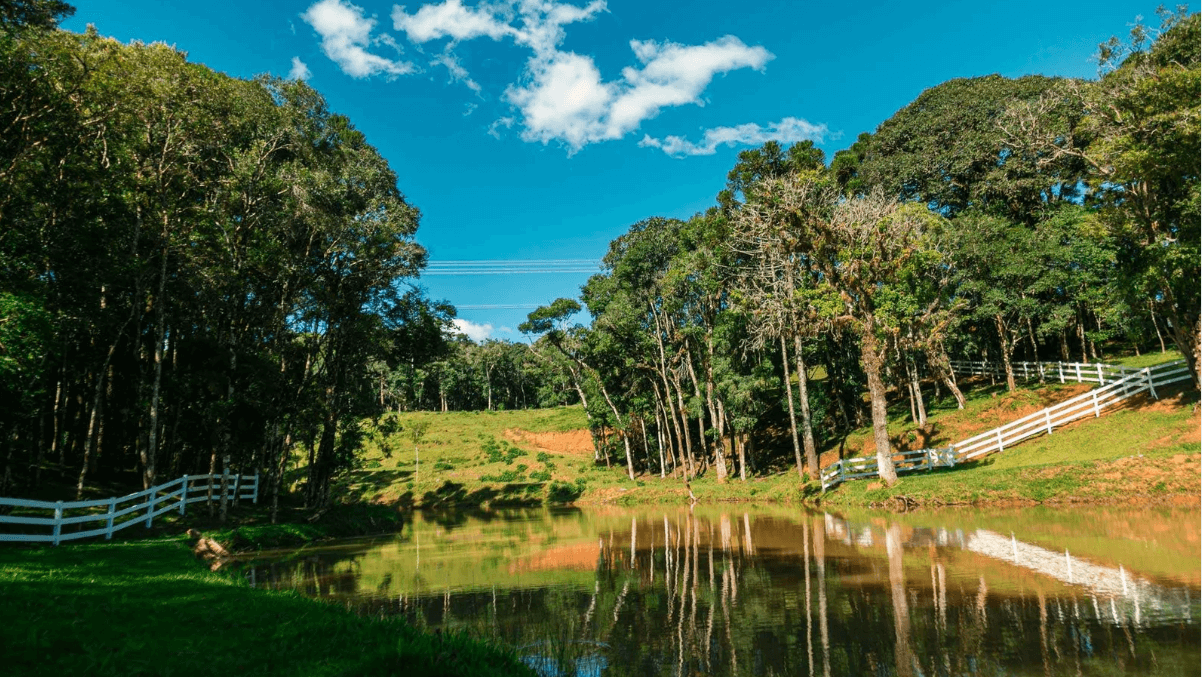 Avaliação de Imóveis em Mandirituba: Guia Completo para Proprietários