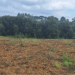 Como Avaliar Terrenos em Mandirituba: Guia Completo