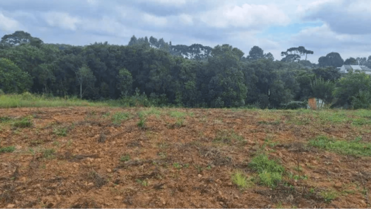 Como Avaliar Terrenos em Mandirituba: Guia Completo