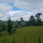 Como Avaliar Terrenos na Lapa: Guia Completo