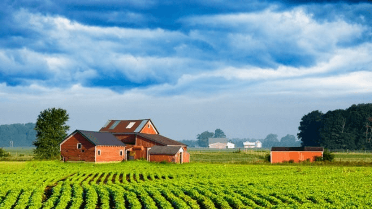 Avaliação de Imóvel Rural em Itaperuçu: Guia Completo