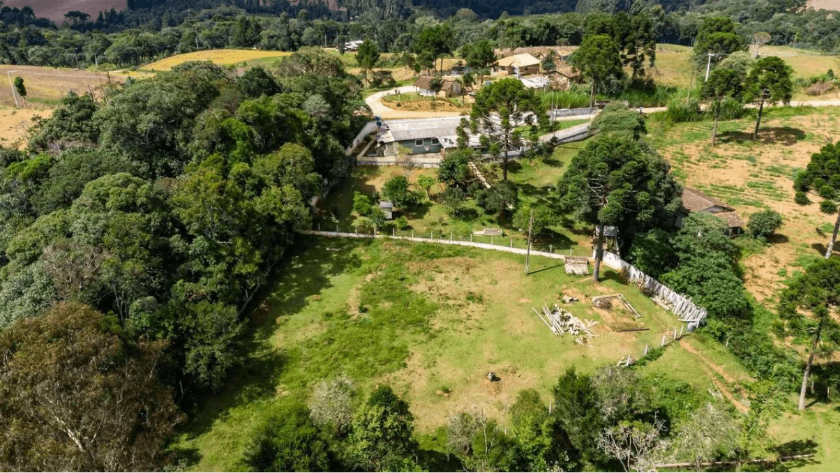 Por Que a Esatto é a Melhor para Avaliações em Agudos do Sul?