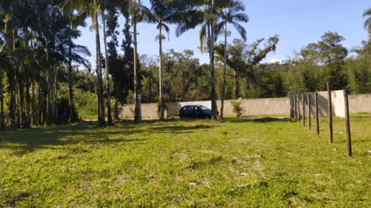 Avaliação de Imóveis Rurais em Morretes: Tudo o Que Você Precisa Saber
