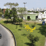 Avaliação Imobiliária no Alto da Rua XV: Centro Histórico