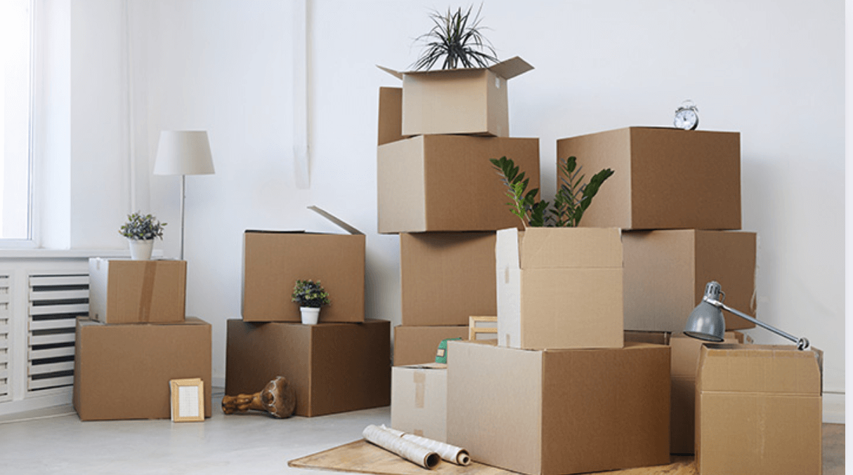 Guia Completo: Quando É Hora de Mudar de Casa