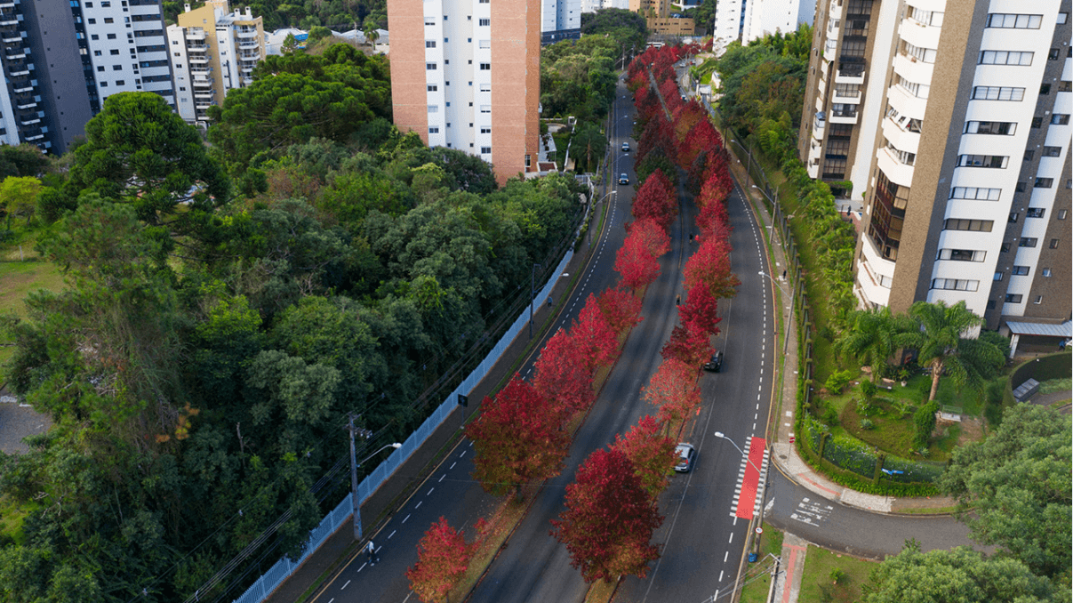 Bairros Emergentes: Como Identificar Potencial e Avaliar com Precisão