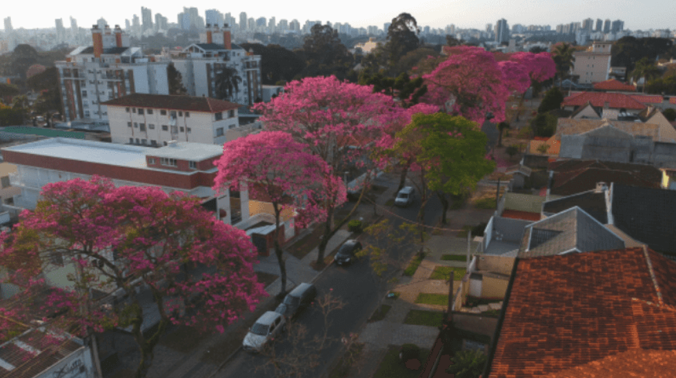 Avaliação de Imóveis no Hugo Lange, Curitiba: Análise Técnica dos Valores Atuais em um Bairro de Transição Acelerada