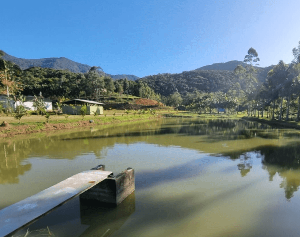 Chácara de Lazer em Paranaguá: Como Depreciar Piscina e Churrasqueira (Sem Ignorar a Maresia e a Umidade)