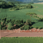 Imóvel Rural em Tamandaré: Como Avaliar Benfeitoria em Terreno da Família (Sem Destruir a Relação entre Irmãos)