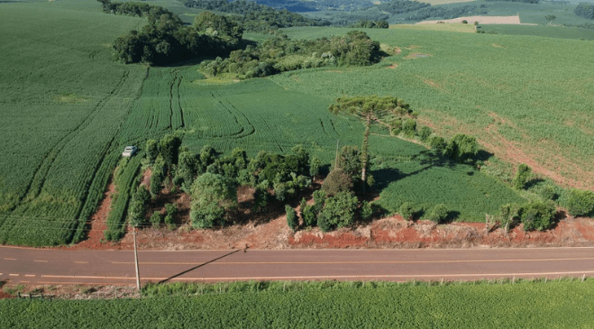 Imóvel Rural em Tamandaré: Como Avaliar Benfeitoria em Terreno da Família (Sem Destruir a Relação entre Irmãos)