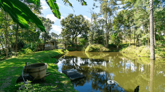 Avaliação de Benfeitorias em Terreno de Terceiro: O Caso de Campo Largo e os Desafios da NBR 14653-2
