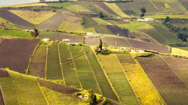 Imóvel Rural em Paranavaí: Como Avaliar Benfeitorias em Terreno de Terceiro? Guia Técnico Completo