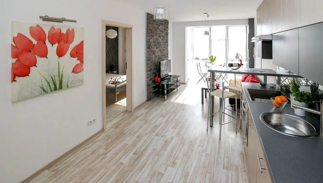 Apartamento 1 dormitorio.jpg