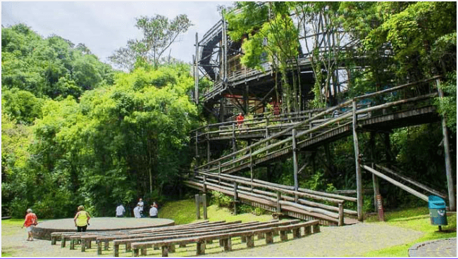 AVALIAÇÃO DE IMÓVEIS RURAIS NA REGIÃO METROPOLITANA DE CURITIBA – MÉTODOS E TENDÊNCIAS