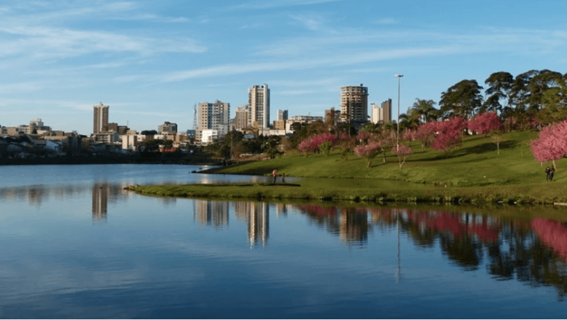 Laudo de Avaliação de Imóvel Rural em Guarapuava e Região – O que o Mercado Exige