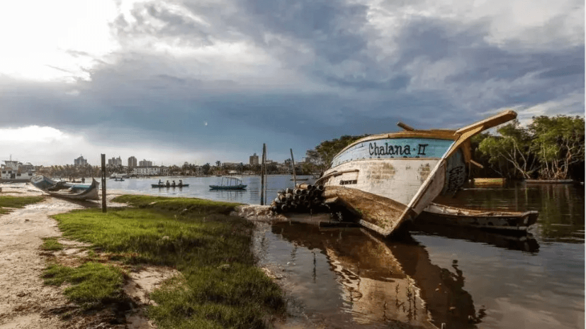 Avaliação de Imóveis Rurais na Região de Paranaguá – Métodos e Tendências