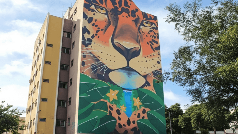 Avaliação de Imóvel em Apucarana: Valor da Terra Nua x Potencial Produtivo