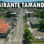 Avaliação de Imóvel em Almirante Tamandaré: Valor da Terra Nua x Potencial Produtivo