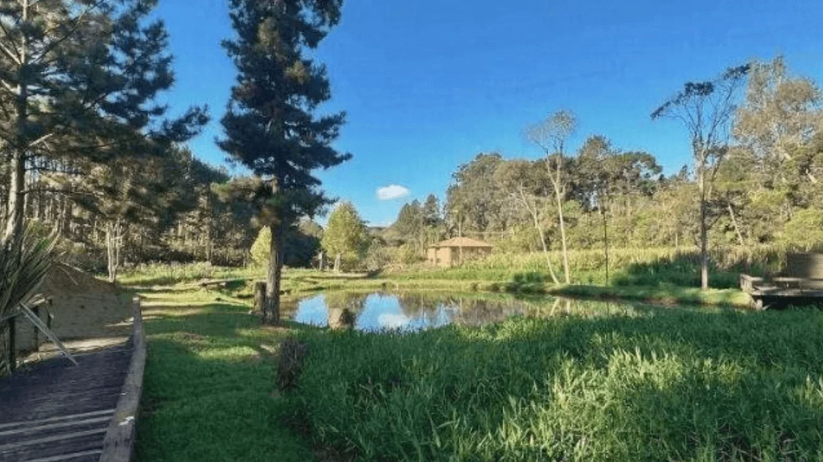 Diferenças entre a Avaliação de Imóveis Urbanos e Rurais em Curitiba