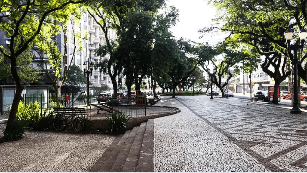 Mercado Imobiliário no Bigorrilho: Análise de Avaliação e Tendências em 2024