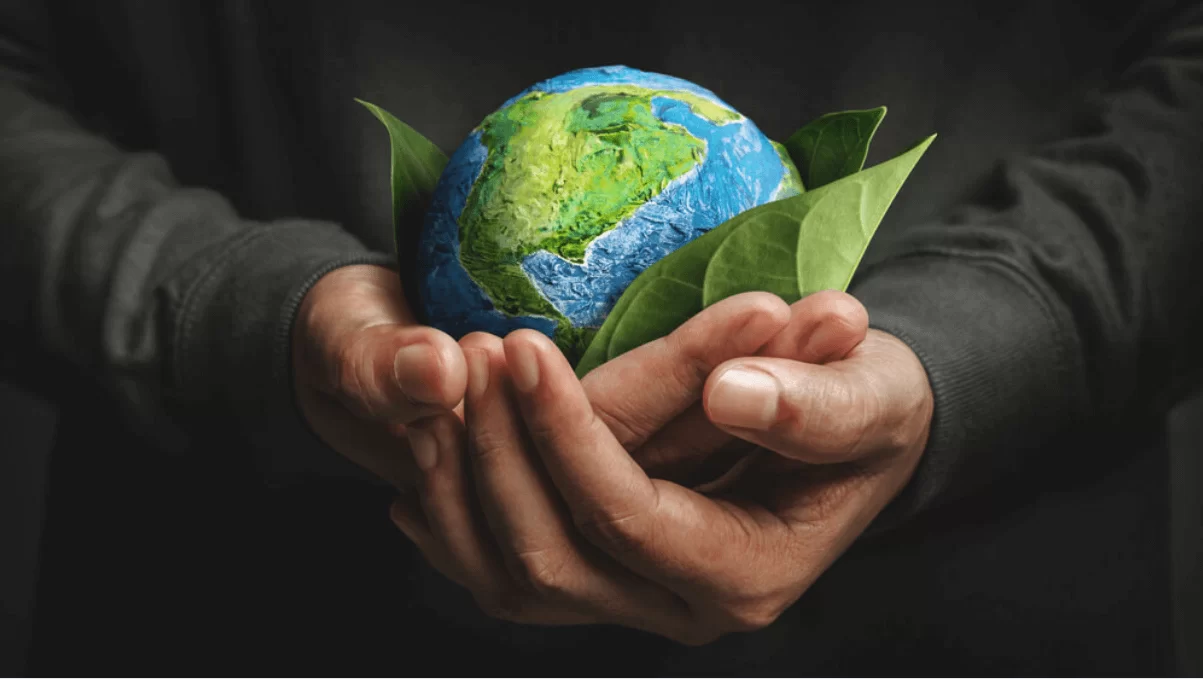 Sustentabilidade e Valorização Imobiliária em Curitiba