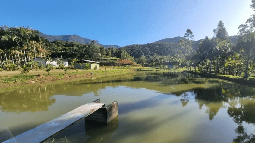 Chácara de Lazer em Paranaguá: Como Depreciar Piscina e Churrasqueira (Sem Ignorar a Maresia e a Umidade)