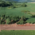 Imóvel Rural em Tamandaré: Como Avaliar Benfeitoria em Terreno da Família (Sem Destruir a Relação entre Irmãos)