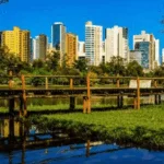 Banco Contestou Meu Financiamento: Como Pedir Reavaliação em Londrina