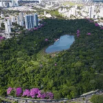AVALIAÇÃO JUDICIAL DE IMÓVEIS EM MARINGÁ – COMO FUNCIONA A PERÍCIA NA JUSTIÇA