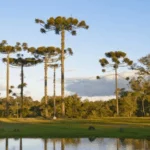 ITBI em Araucária: Como um Laudo de Avaliação Reduz o Imposto na Transferência de Imóveis